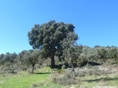 Arribes de Duero zamoranos - Acantilados asombrosos; sierra pobre navacerrada rutas puente en noviem
